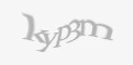 Защитный код